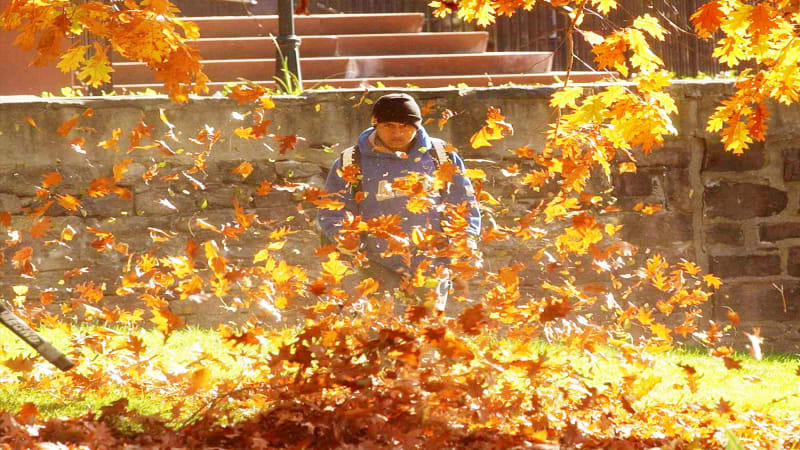 U.S. bans on gas-powered leaf blowers grow, as does blowback from landscaping industry